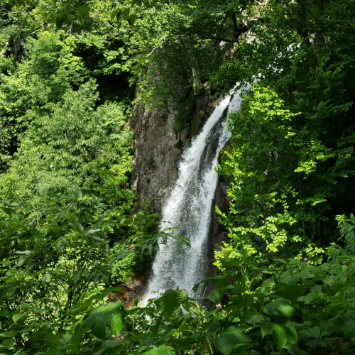 Waterfall on the hike