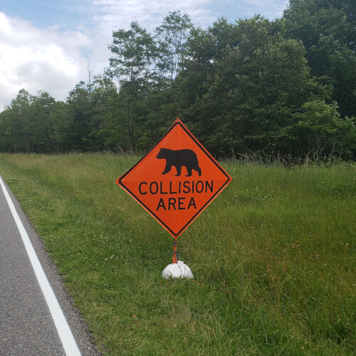 Bear warning sign